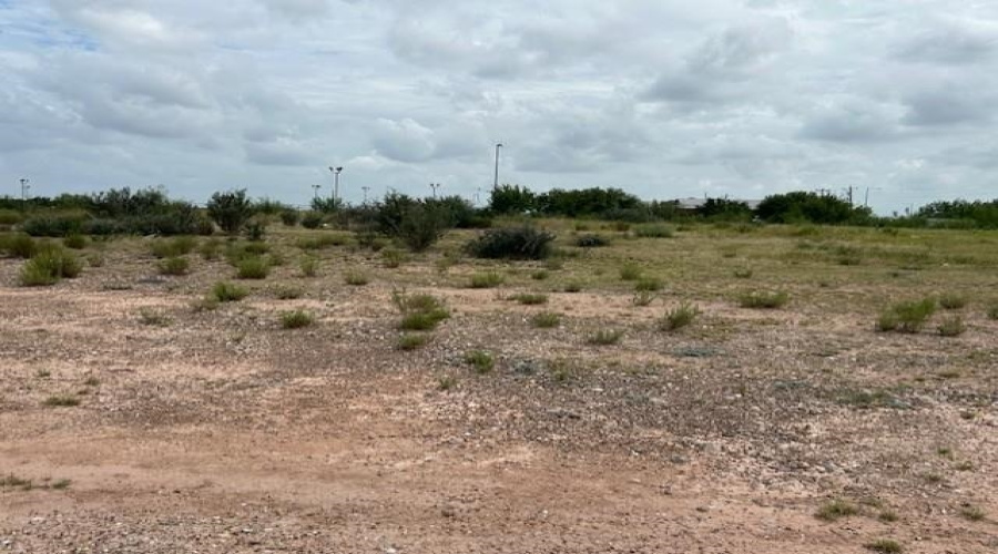 8207 Mejia Rd, Laredo, Texas 78043, ,Land,For Sale,8207 Mejia Rd,20261747