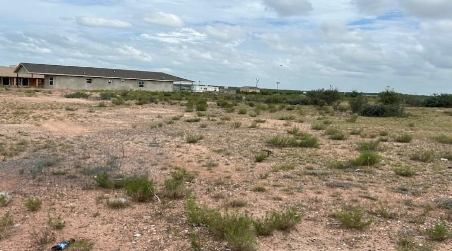 8207 Mejia Rd, Laredo, Texas 78043, ,Land,For Sale,8207 Mejia Rd,20261747