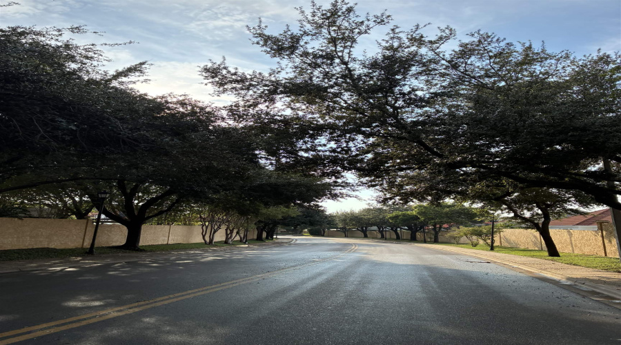 315 Rhone Ln, LAREDO, Texas 78041, ,Land,For Sale,315 Rhone Ln,20261750