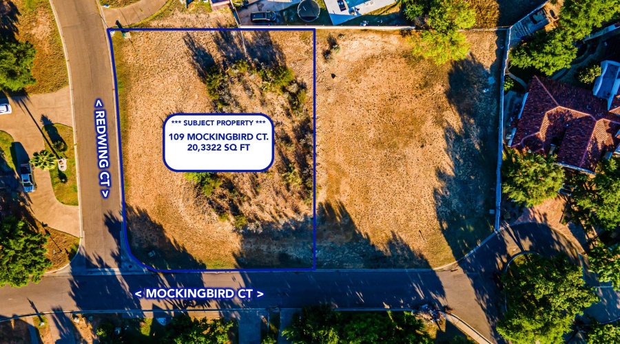 109 Mockingbird Ct, LAREDO, Texas 78045, ,Land,For Sale,109 Mockingbird Ct,20261755