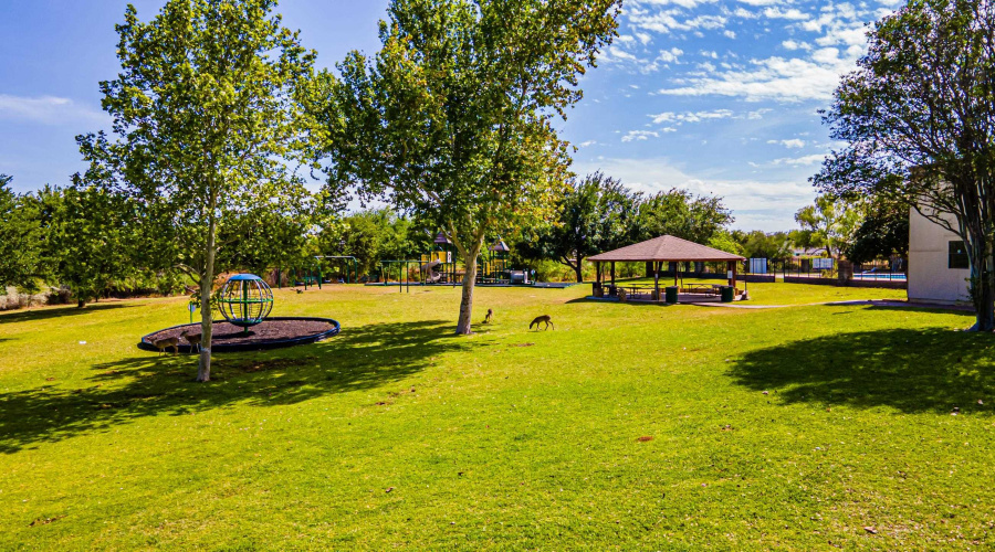 106 Redwing Ct, LAREDO, Texas 78045, ,Land,For Sale,106 Redwing Ct,20261756