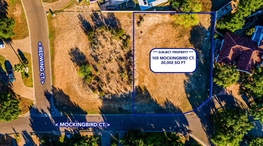 105 Mockingbird Ct, LAREDO, Texas 78045, ,Land,For Sale,105 Mockingbird Ct,20261757