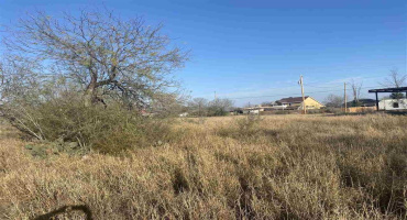 1410 Col. Antonio Zapata Avenue, Zapata, Texas 78076, ,Land,For Sale,1410 Col. Antonio Zapata Avenue,20261763