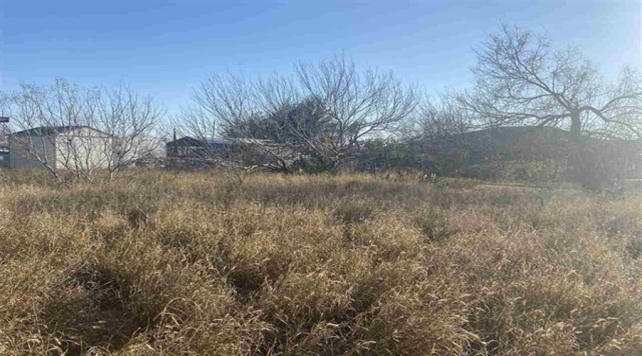 1410 Col. Antonio Zapata Avenue, Zapata, Texas 78076, ,Land,For Sale,1410 Col. Antonio Zapata Avenue,20261763