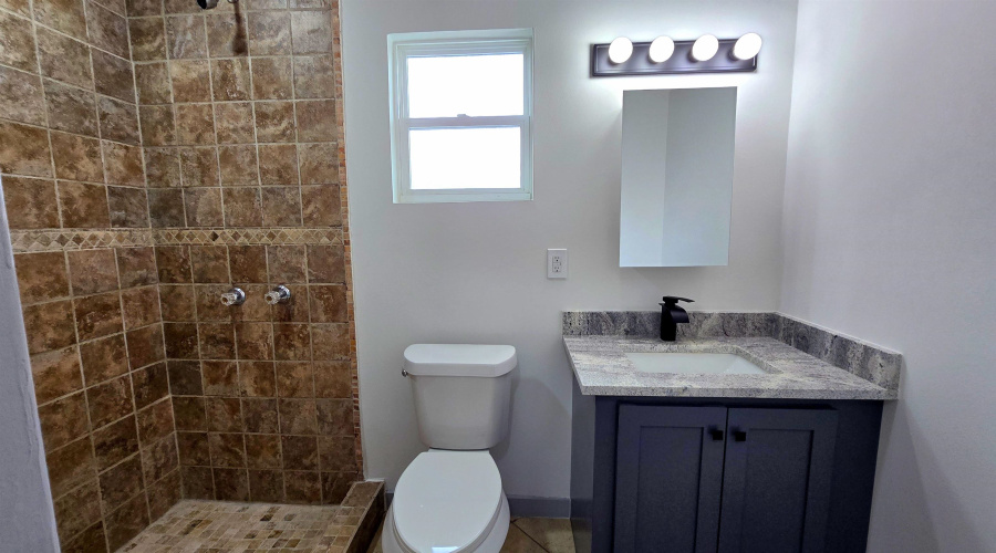 1017 1/2 E Lyon St, Laredo, Texas 78040, 5 Bedrooms Bedrooms, 6 Rooms Rooms,4 BathroomsBathrooms,Residential,For Sale,1017 1/2 E Lyon St,20261773