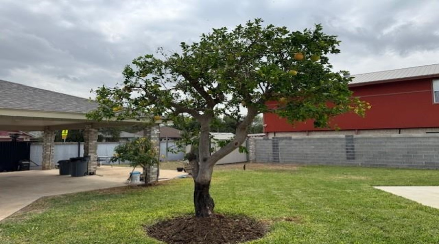 414 Albany Dr, Laredo, Texas 78045, ,Land,For Sale,414 Albany Dr,20261784