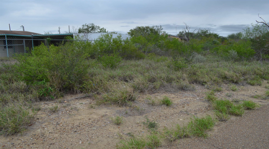 5115 Grande Lane, Zapata, Texas 78076, ,Land,For Sale,5115 Grande Lane,20261812
