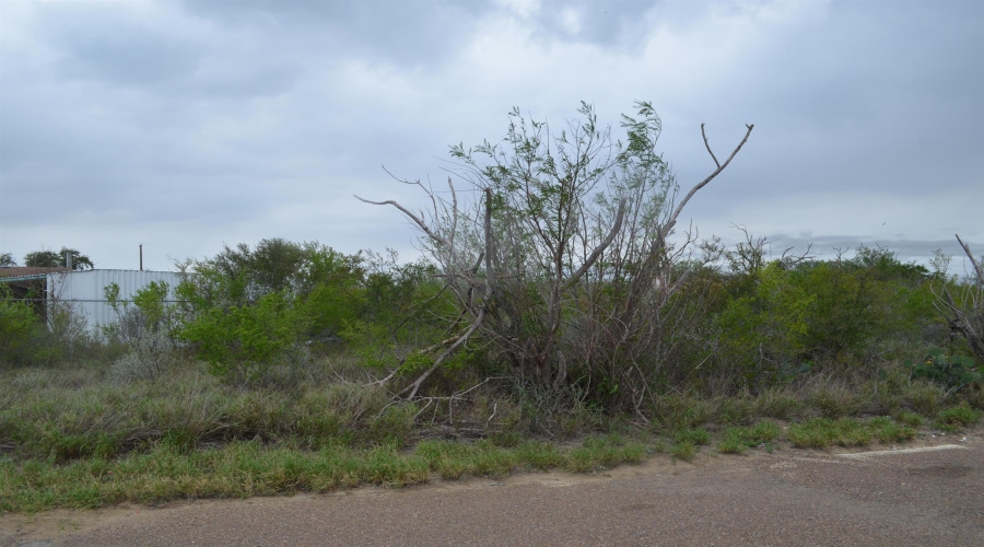 5115 Grande Lane, Zapata, Texas 78076, ,Land,For Sale,5115 Grande Lane,20261812