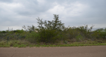 5107 Grande Lane, Zapata, Texas 78076, ,Land,For Sale,5107 Grande Lane,20261813