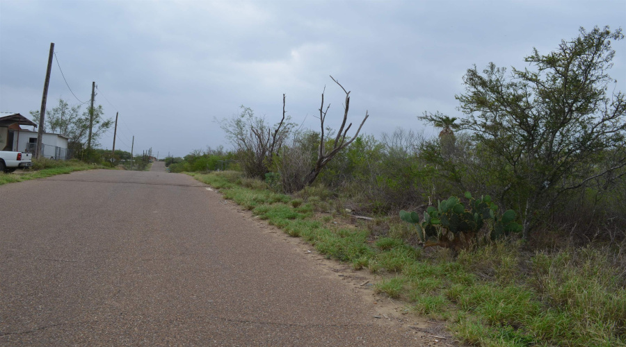 5107 Grande Lane, Zapata, Texas 78076, ,Land,For Sale,5107 Grande Lane,20261813