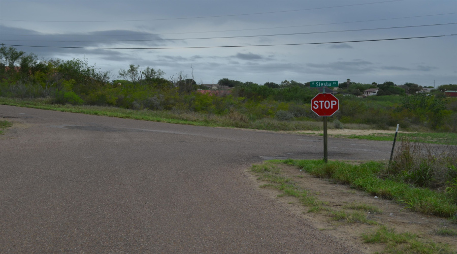 5107 Grande Lane, Zapata, Texas 78076, ,Land,For Sale,5107 Grande Lane,20261813