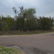 5105 Grande Lane, Zapata, Texas 78076, ,Land,For Sale,5105 Grande Lane,20261814