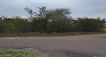 5105 Grande Lane, Zapata, Texas 78076, ,Land,For Sale,5105 Grande Lane,20261814