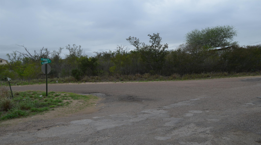5105 Grande Lane, Zapata, Texas 78076, ,Land,For Sale,5105 Grande Lane,20261814