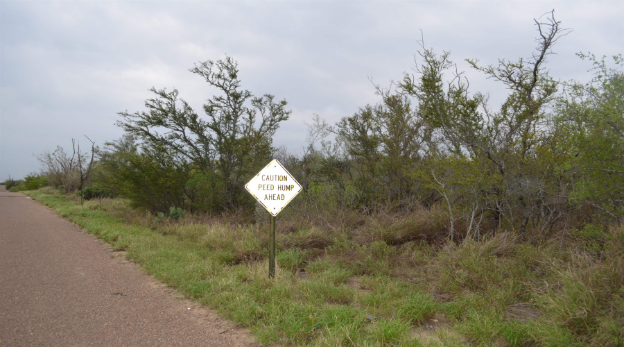 5105 Grande Lane, Zapata, Texas 78076, ,Land,For Sale,5105 Grande Lane,20261814
