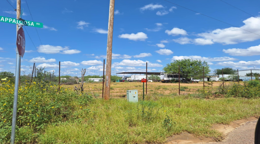 341 Appaloosa Rd, LAREDO, Texas 78045, ,Land,For Sale,341 Appaloosa Rd,20261846