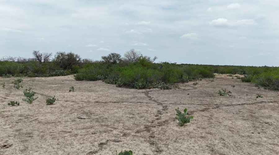 480 Sal si Puedes, Laredo, Texas 78044, ,Land,For Sale,480 Sal si Puedes,20261857