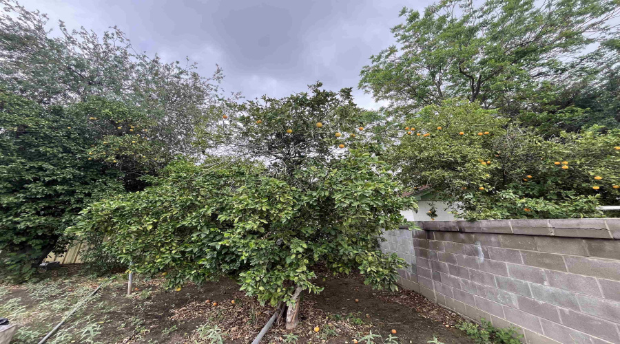 3505 Santa Maria Ave, Laredo, Texas 78041, 4 Bedrooms Bedrooms, 6 Rooms Rooms,1 BathroomBathrooms,Residential,For Sale,3505 Santa Maria Ave,20261879