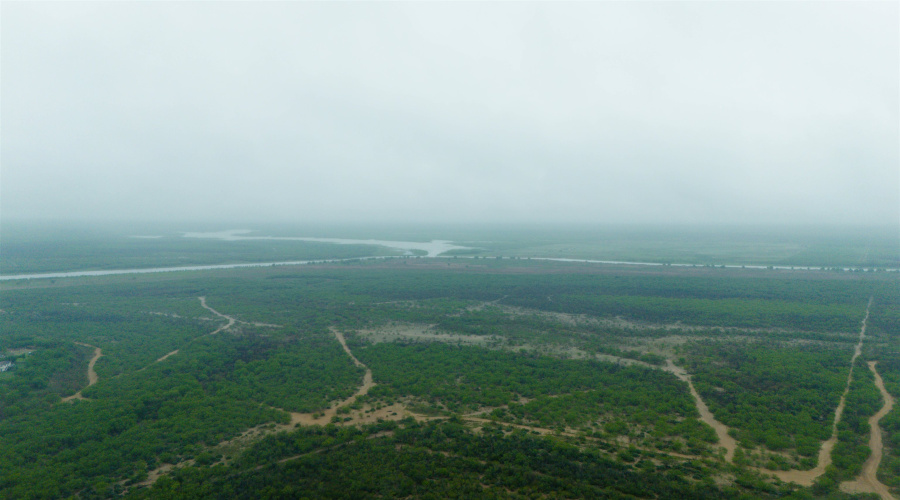 ABST 21 Porcion 36, Zapata, Texas 78076, ,Land,For Rent,ABST 21 Porcion 36,20261884