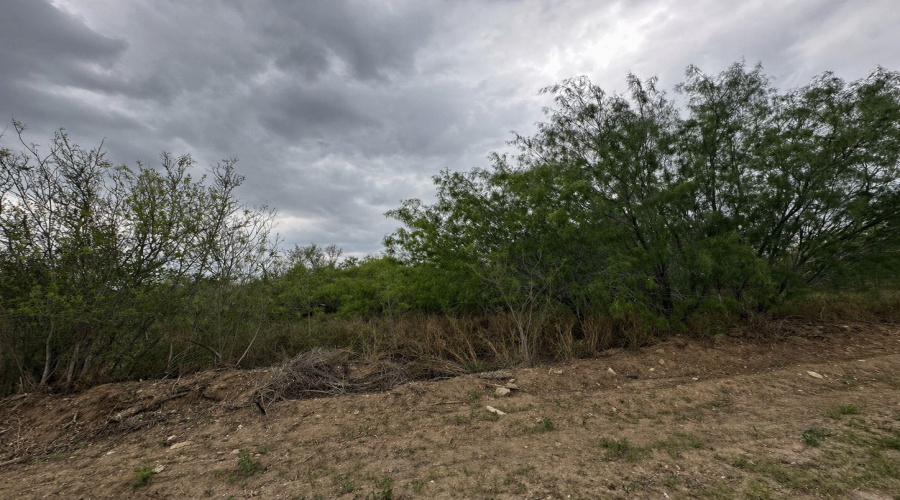 5417 Pety Ln, Zapata, Texas 78076, ,Land,For Sale,5417 Pety Ln,20261914