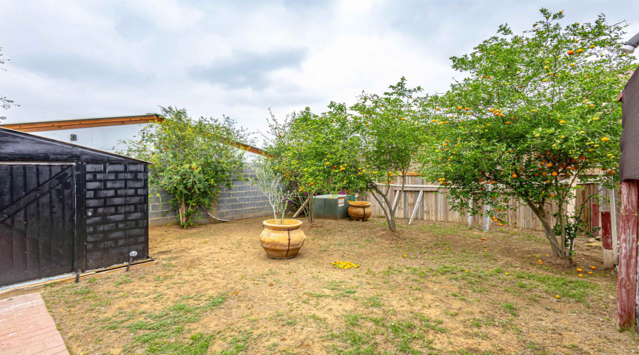 4406 Wild Flower Ave, Laredo, Texas 78045, 4 Bedrooms Bedrooms, 5 Rooms Rooms,2 BathroomsBathrooms,Residential,For Sale,4406 Wild Flower Ave,20261927