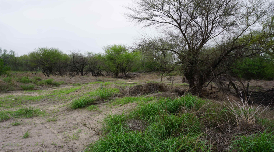 ABST 0845 331, Aguilares, Texas 78369, ,Land,For Sale,ABST 0845 331,20262054