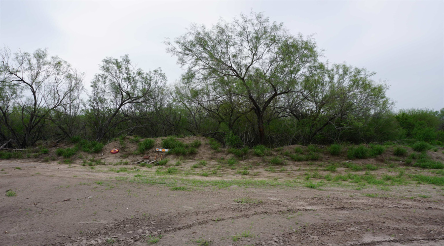 ABST 0845 331, Aguilares, Texas 78369, ,Land,For Sale,ABST 0845 331,20262054