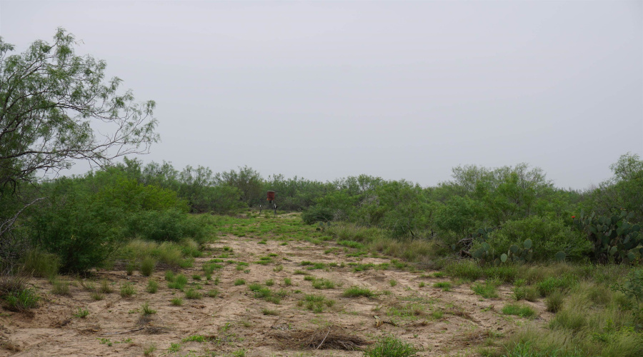 ABST 0845 331, Aguilares, Texas 78369, ,Land,For Sale,ABST 0845 331,20262054