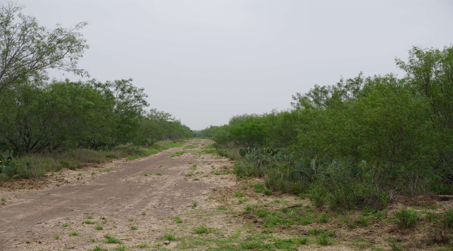 ABST 0845 331, Aguilares, Texas 78369, ,Land,For Sale,ABST 0845 331,20262054