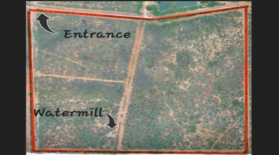 1719 1719 CR 104, Webb, Texas 78045, ,Land,For Sale,1719 1719 CR 104,20262123