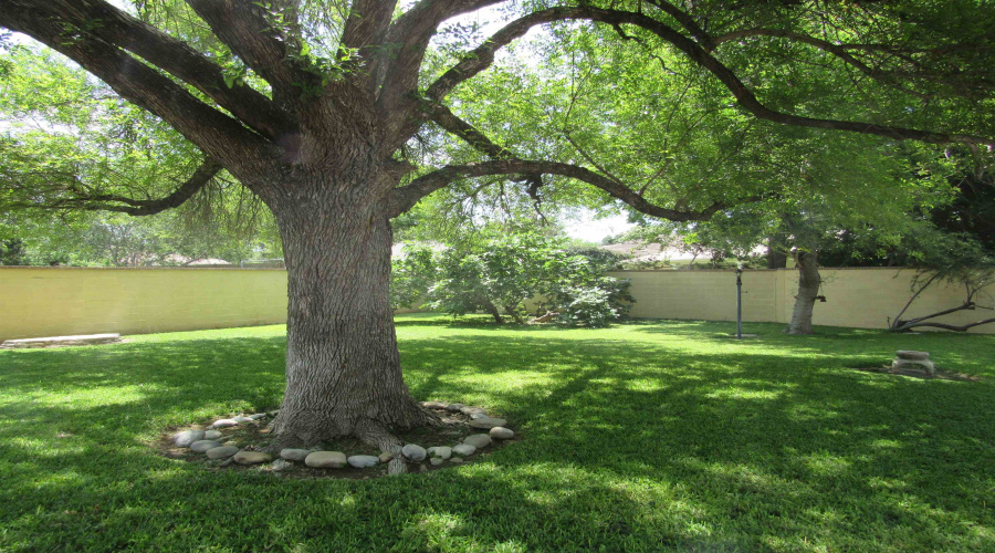 405 Longshadow Rd, Laredo, Texas 78041, 4 Bedrooms Bedrooms, 9 Rooms Rooms,3 BathroomsBathrooms,Residential,For Sale,405 Longshadow Rd,20262144