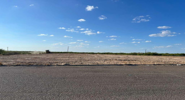 1018 Black Diamond St, laredo, Texas 78045, ,Land,For Sale,1018 Black Diamond St,20262219