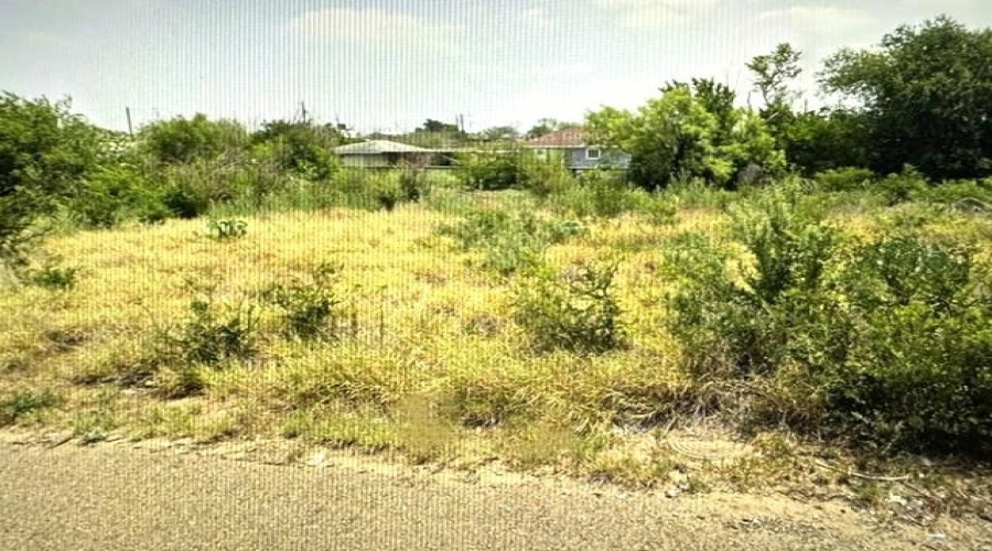 5124 Mission Ln, Zapata, Texas 78076, ,Land,For Sale,5124 Mission Ln,20262224