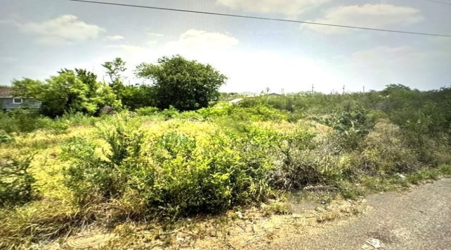 5124 Mission Ln, Zapata, Texas 78076, ,Land,For Sale,5124 Mission Ln,20262224