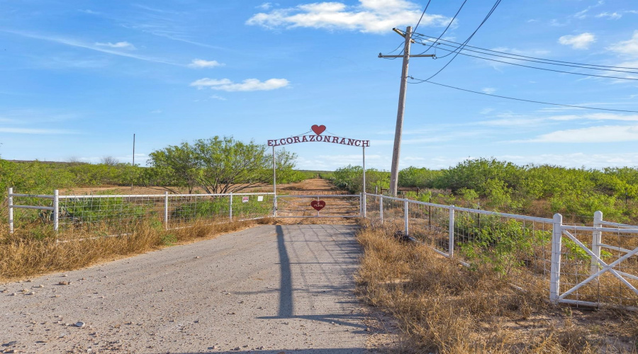 4407 Wormser Rd, LAREDO, Texas 78046, ,Land,For Sale,4407 Wormser Rd,20262241