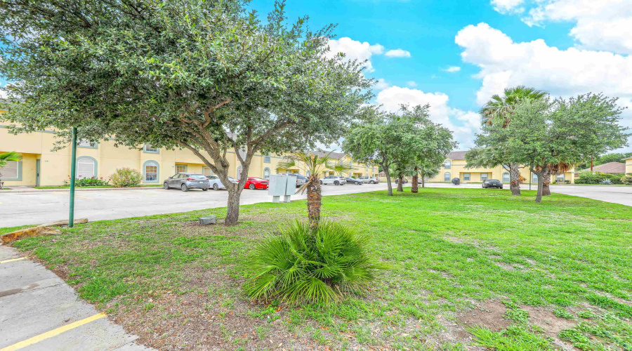 1000 Ranchway Dr, LAREDO, Texas 78041, 3 Bedrooms Bedrooms, 6 Rooms Rooms,3 BathroomsBathrooms,Residential,For Rent,1000 Ranchway Dr,20262254