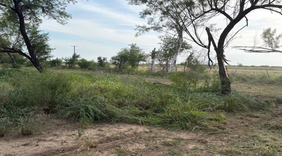 ABST 209 J V Borrego Grant, San Ygnacio, Texas 78067, ,Land,For Sale,ABST 209 J V Borrego Grant,20262306