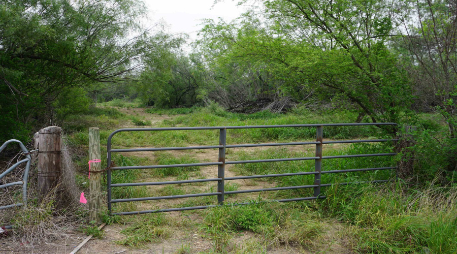 ABST 209 J V Borrego Grant, San Ygnacio, Texas 78067, ,Land,For Sale,ABST 209 J V Borrego Grant,20262306