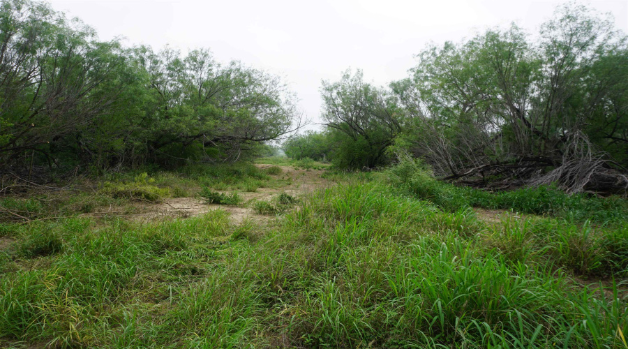 ABST 209 J V Borrego Grant, San Ygnacio, Texas 78067, ,Land,For Sale,ABST 209 J V Borrego Grant,20262306