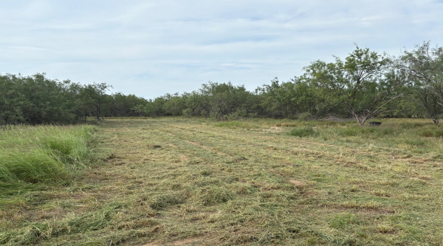 ABST 209 J V Borrego Grant, San Ygnacio, Texas 78067, ,Land,For Sale,ABST 209 J V Borrego Grant,20262306