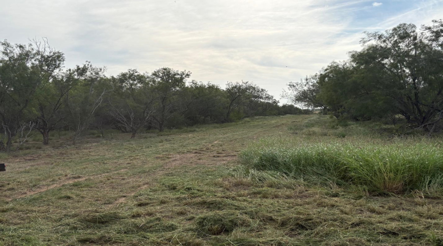 ABST 209 J V Borrego Grant, San Ygnacio, Texas 78067, ,Land,For Sale,ABST 209 J V Borrego Grant,20262306
