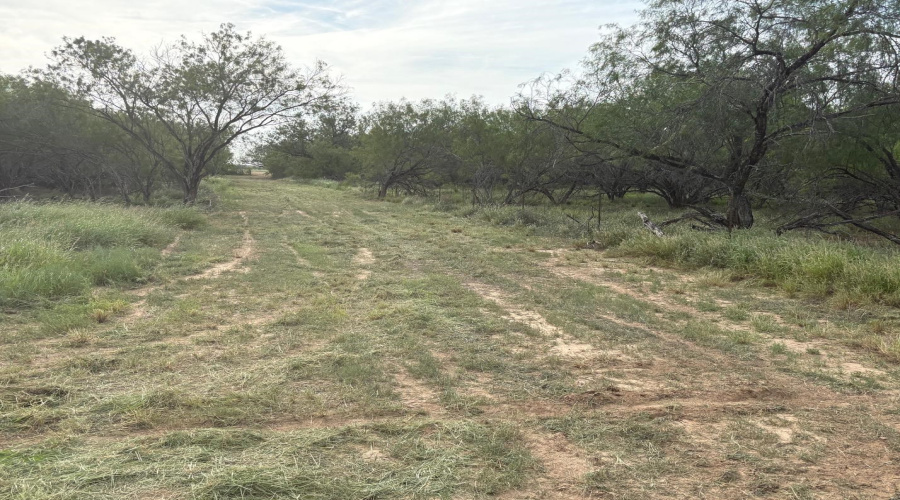 ABST 209 J V Borrego Grant, San Ygnacio, Texas 78067, ,Land,For Sale,ABST 209 J V Borrego Grant,20262306