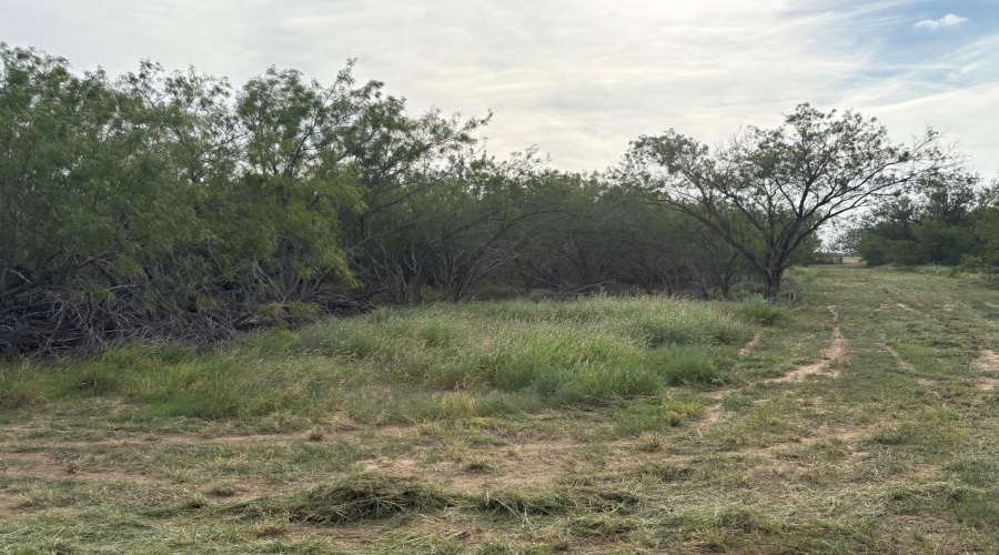 ABST 209 J V Borrego Grant, San Ygnacio, Texas 78067, ,Land,For Sale,ABST 209 J V Borrego Grant,20262306