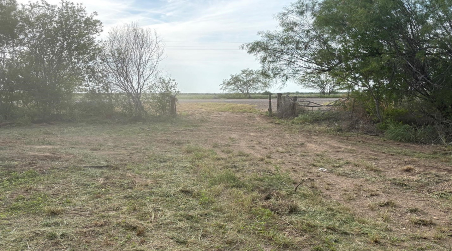 ABST 209 J V Borrego Grant, San Ygnacio, Texas 78067, ,Land,For Sale,ABST 209 J V Borrego Grant,20262306