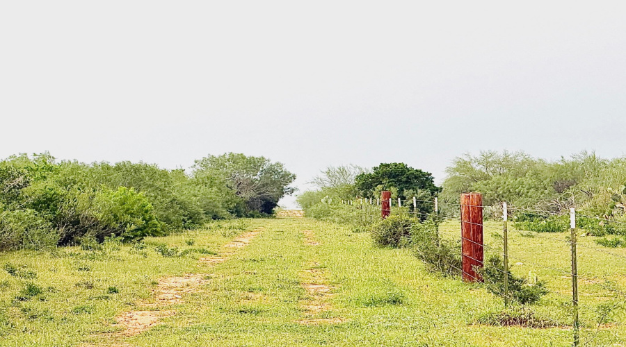 175 Ranch Road 8072C, Bruni, Texas 78344-0072, ,Land,For Sale,175 Ranch Road 8072C,20262344