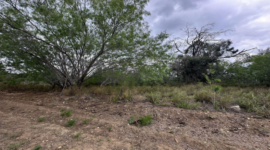 5417 Pety Ln, Zapata, Texas 78076, ,Land,For Sale,5417 Pety Ln,20262356