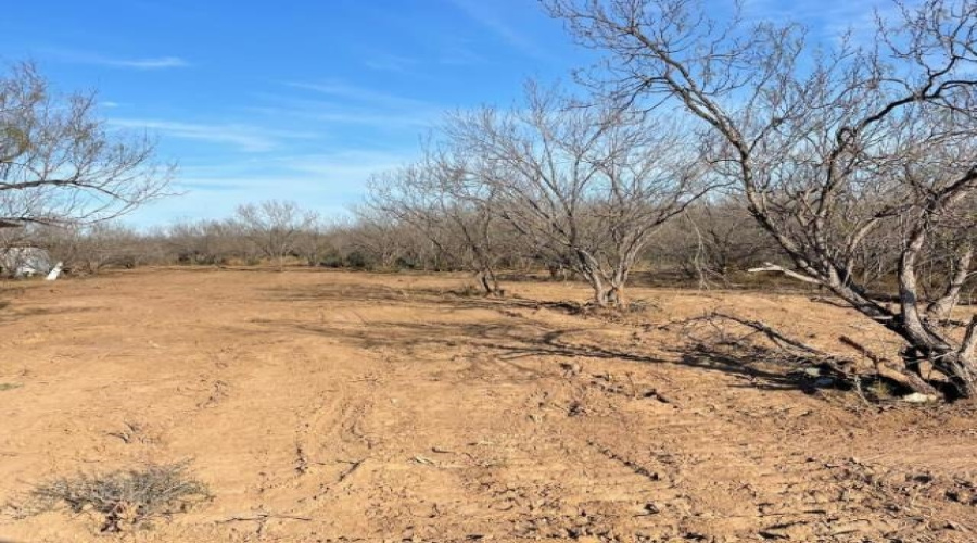 ABST 313 SUR, Laredo, Texas 78045, ,Land,For Sale,ABST 313 SUR,20262367