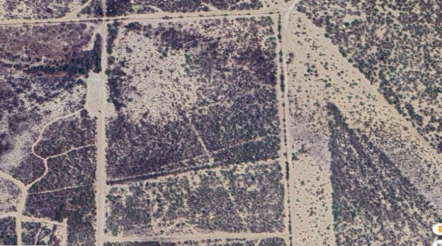 ABST 313 SUR, Laredo, Texas 78045, ,Land,For Sale,ABST 313 SUR,20262367