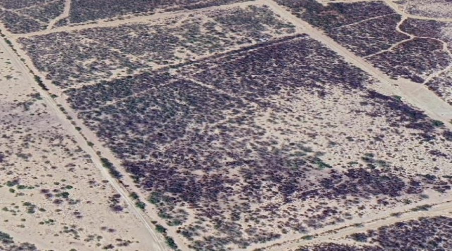 ABST 313 SUR, Laredo, Texas 78045, ,Land,For Sale,ABST 313 SUR,20262367