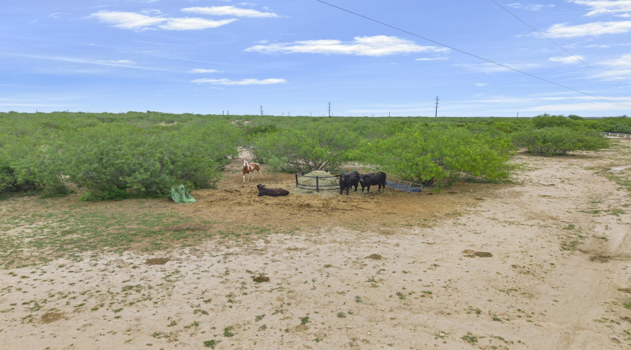3458 Mangana-Hein Rd, Laredo, Texas 78046, ,Land,For Sale,3458 Mangana-Hein Rd,20262435